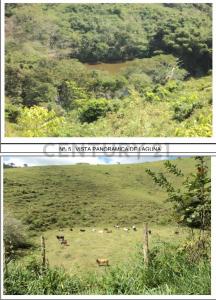 San Felipe, Yaracuy 3205, Venezuela