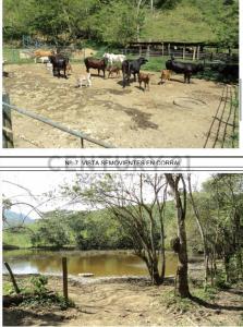 San Felipe, Yaracuy 3205, Venezuela