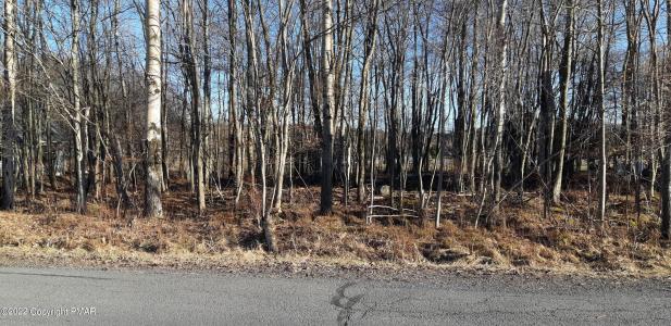 32-41-10 LAKE SHORE Drive, Pocono Lake, Pennsylvania 18347, Estados Unidos