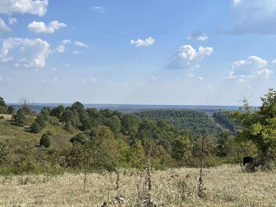 TBD Tower Rd, Ash Flat, Arkansas 72513, Amerika Birleşik Devletleri