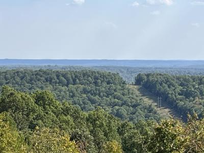 TBD Tower Rd, Ash Flat, Arkansas 72513, Amerika Birleşik Devletleri