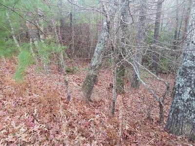 Windy Hill Estate, Fleetwood, NC 28626, USA