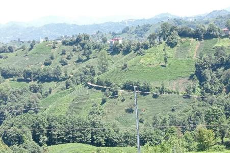 Rize, Thổ Nhĩ Kỳ