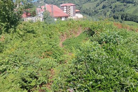 Rize, Thổ Nhĩ Kỳ