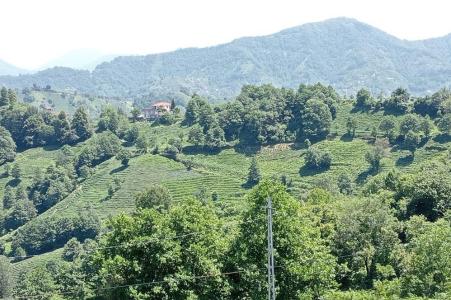 Rize, Thổ Nhĩ Kỳ