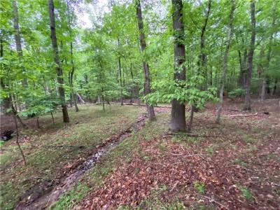 0 Denny Ridge Lot 4132 Road, Jasper, Georgia 30143, Amerika Birleşik Devletleri