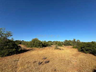 Tavira, Faro 8800-000, Portugal