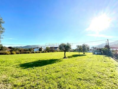 Viana do Castelo, Viana do Castelo 4905-591, Portugal