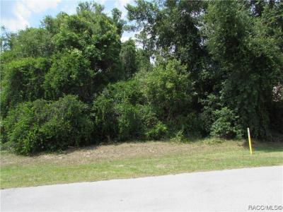 2852 N Appledore Path, Hernando, Florida 34442, Estados Unidos
