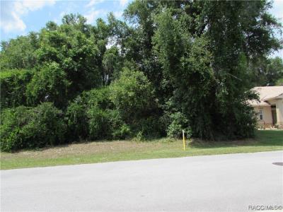 2852 N Appledore Path, Hernando, Florida 34442, Estados Unidos