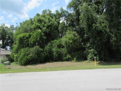 2852 N Appledore Path, Hernando, Florida 34442, Estados Unidos