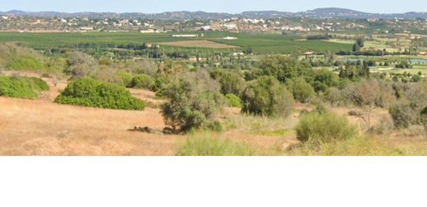 Silves, 파로 8365-000, 포르투갈