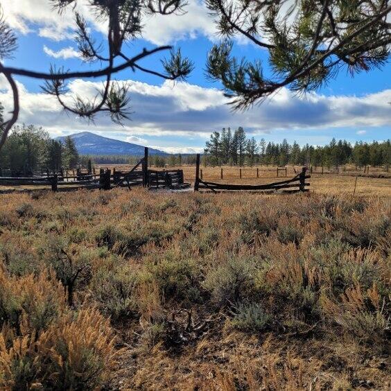 501-050 Hwy 44, Susanville, California 96130