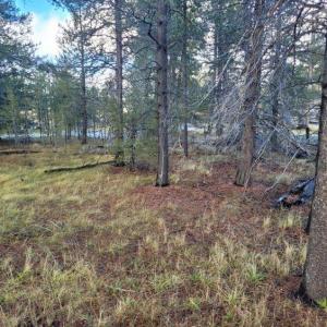 501-050 Hwy 44, Susanville, California 96130