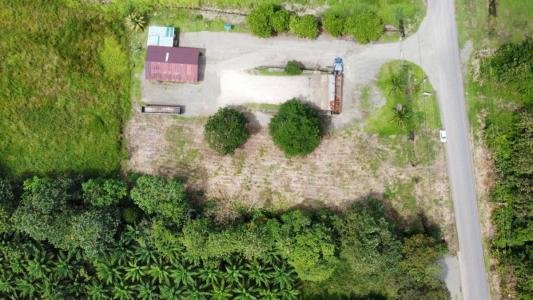 Península De Osa Puerto Jiménez Golfito, Puntarenas 00001, Costa Rica