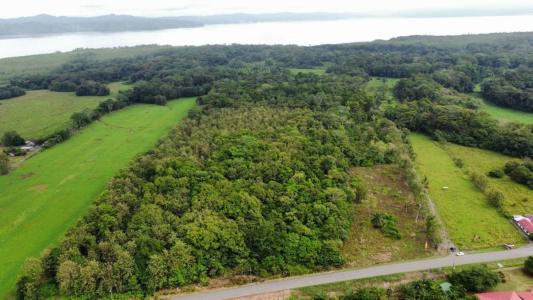 Península De Osa Puerto Jiménez Golfito, Puntarenas 00001, Costa Rica