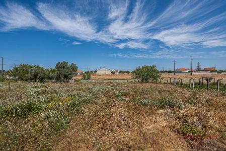 Moita, Setubal 2860-552, Portugal