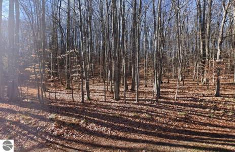 LOT 1152 Michaywe, Gaylord, Michigan 49735, Estados Unidos