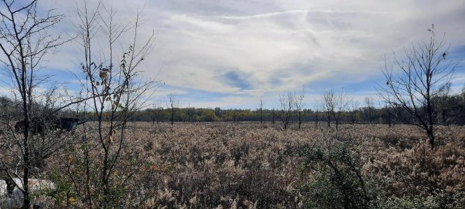 258 Ed Kent, Natchitoches, Louisiana 71416, USA