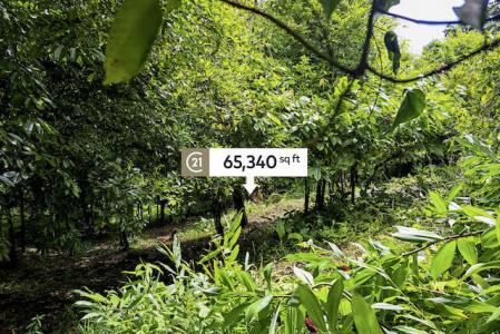 Belmont Estate Land, Belmont, St.Patrick West Indies, Grenada