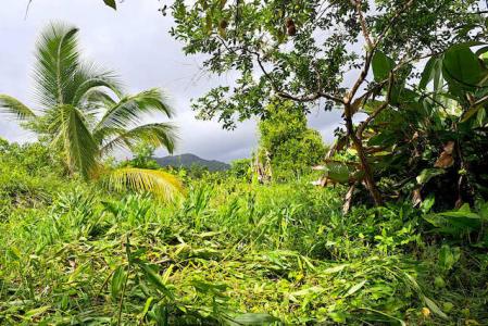 Belmont Estate Land, Belmont, St.Patrick West Indies, Grenada
