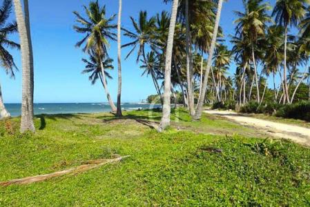 Spacious beachfront lot for sale in Cabrera., Cabrera, María Trinidad Sánchez 33000, Dominican Republic
