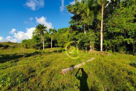 Spectacular Ocean View Lot in Rio San Juan for Sale., Río San Juan, María Trinidad Sánchez 33000, République Dominicaine