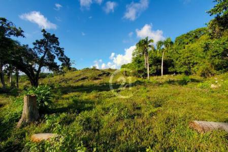 Spectacular Ocean View Lot in Rio San Juan for Sale., Río San Juan, María Trinidad Sánchez 33000, République Dominicaine