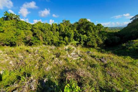 Spectacular Ocean View Lot in Rio San Juan for Sale., Río San Juan, María Trinidad Sánchez 33000, République Dominicaine