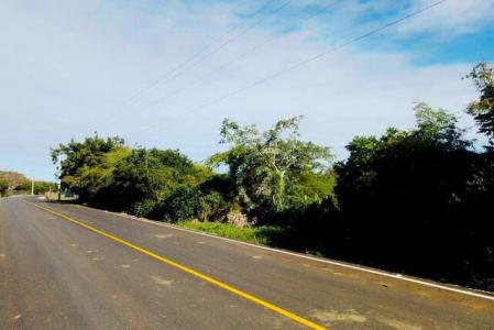 Investment Opportunity: Promising Land in Luperón, Luperón, Puerto Plata 57000, Dominican Republic