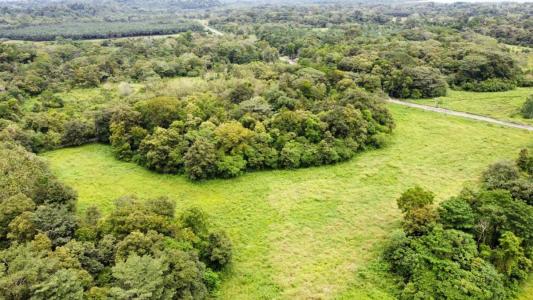 Península De Osa Puerto Jiménez Golfito, Puntarenas 00001, Costa Rica