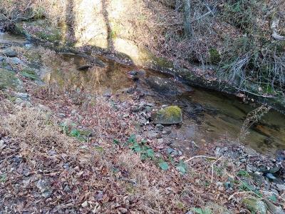 Lot #7 Orchard Creek Road, Deep Gap, Carolina Do Norte 28618, Estados Unidos