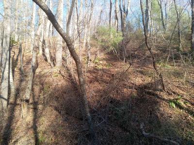 Lot #7 Orchard Creek Road, Deep Gap, Carolina Do Norte 28618, Estados Unidos