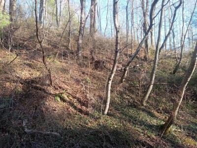 Lot #7 Orchard Creek Road, Deep Gap, Carolina Do Norte 28618, Estados Unidos