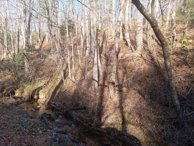 Lot #7 Orchard Creek Road, Deep Gap, Carolina Do Norte 28618, Estados Unidos