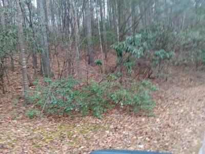 Lake CIrcle Twin Lakes Drive, West Jefferson, 北卡罗来纳州 28694, 美国