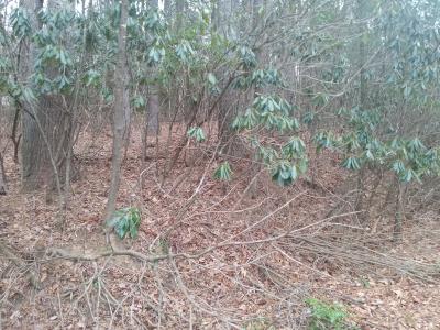 Lake CIrcle Twin Lakes Drive, West Jefferson, 北卡罗来纳州 28694, 美国