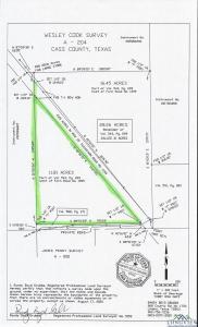 TBD FM 1399, Linden, Texas 75563, Estados Unidos