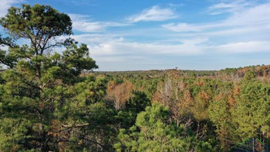 TBD FM 1399, Linden, Texas 75563, Estados Unidos