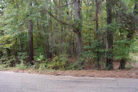 0 Hinton Street, Minden, Louisiana 71055