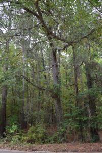 0 Hinton Street, Minden, Louisiana 71055