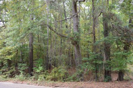 0 Hinton Street, Minden, Louisiana 71055