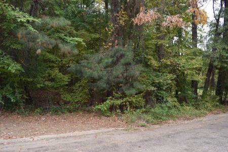 0 Hinton Street, Minden, Louisiana 71055