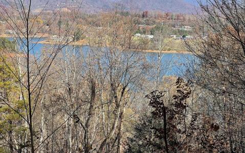 Lot19 Twin Mountain Road, Hiawassee, 喬治亞州 30546, 美國