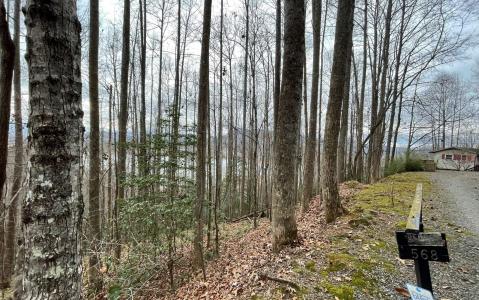Lot19 Twin Mountain Road, Hiawassee, 喬治亞州 30546, 美國