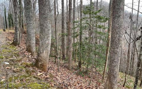 Lot19 Twin Mountain Road, Hiawassee, 喬治亞州 30546, 美國