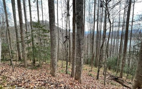 Lot19 Twin Mountain Road, Hiawassee, 喬治亞州 30546, 美國