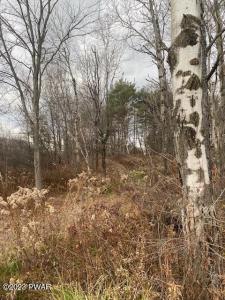 115 Shust Road, Greenfield Twp, Pennsylvania 18407, USA