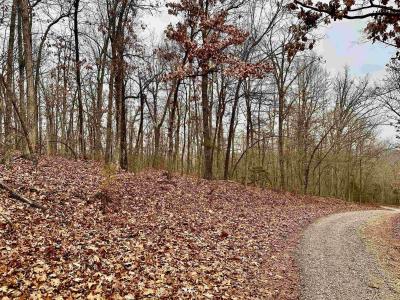 lots 151-157 Seminole Drive, Hardy, Arkansas 72542, États-Unis