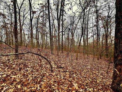 lots 151-157 Seminole Drive, Hardy, Arkansas 72542